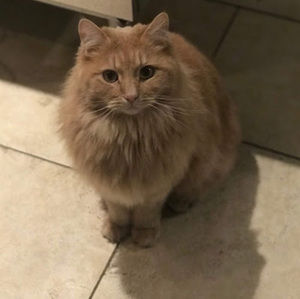 Meet your Posher, Martha